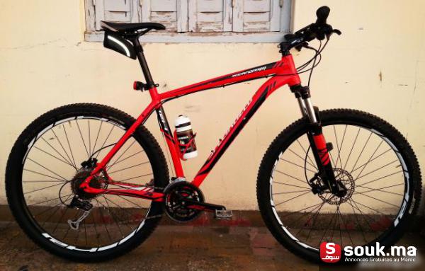 specialized rockhopper 29 2013